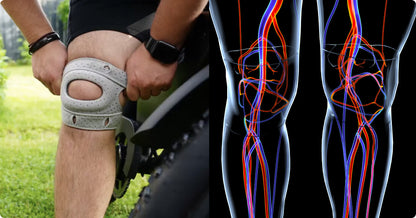 Knee Brace